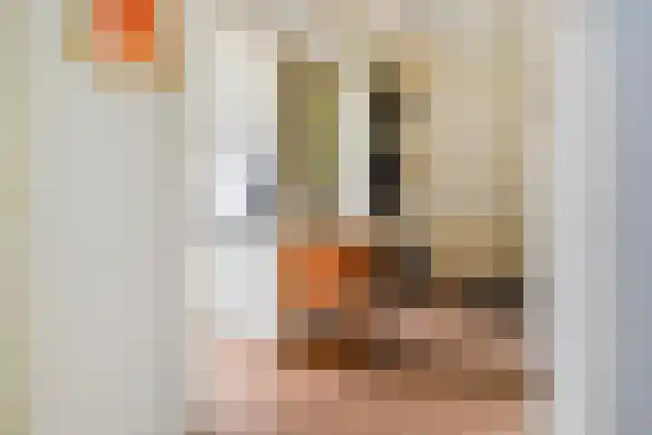 Dr H. Colijnlaan 141 Rijswijk thumbnail 19