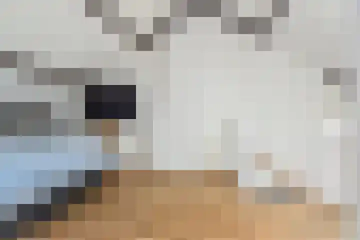 Dr H. Colijnlaan 141 Rijswijk thumbnail 29