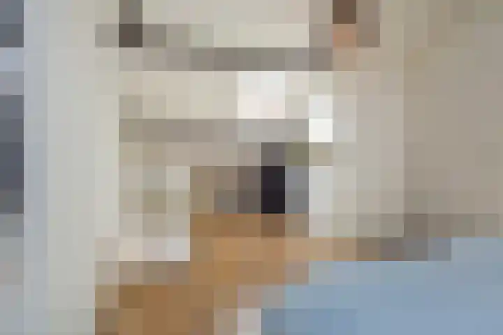 Dr H. Colijnlaan 141 Rijswijk thumbnail 33