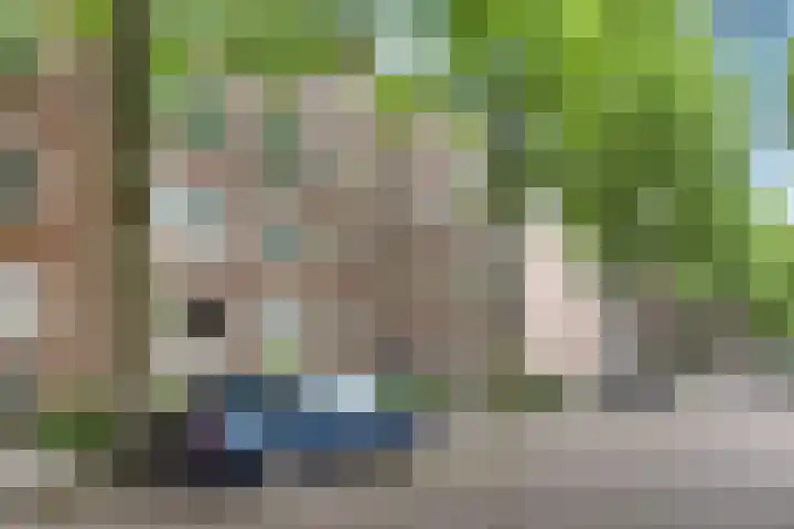 Dr H. Colijnlaan 141 Rijswijk thumbnail 38