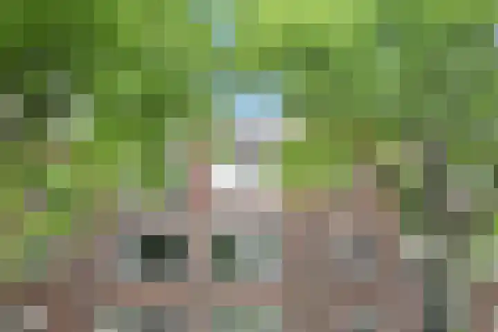 Dr H. Colijnlaan 141 Rijswijk thumbnail 39
