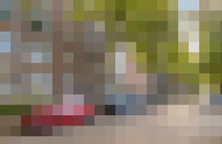 Dr H. Colijnlaan 145 Rijswijk thumbnail 23