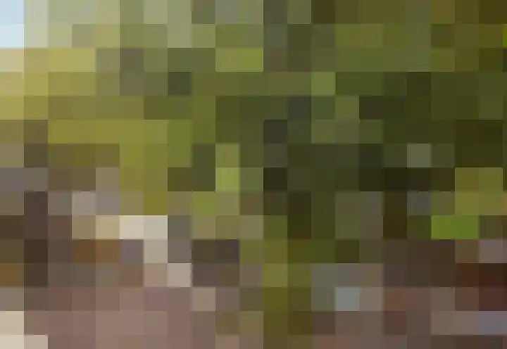 Dr H. Colijnlaan 145 Rijswijk thumbnail 4
