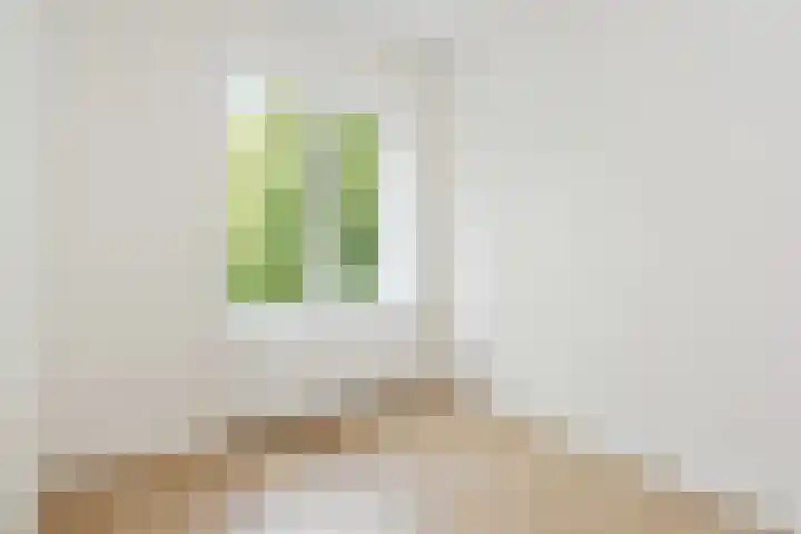 Dr H. Colijnlaan 15 Rijswijk thumbnail 13