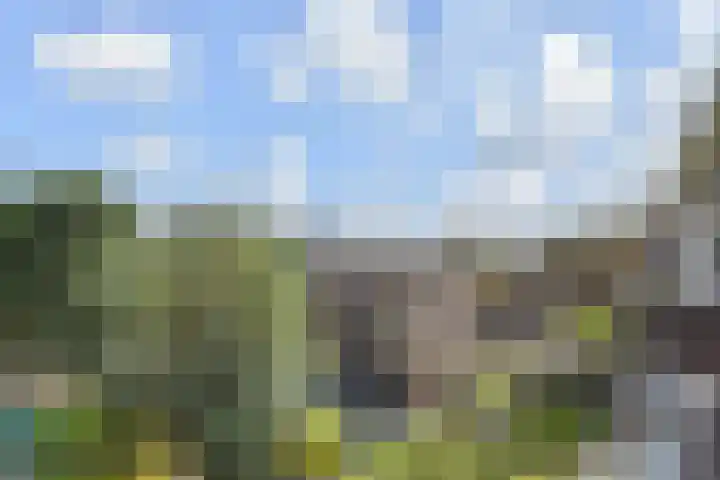 Dr H. Colijnlaan 15 Rijswijk thumbnail 24