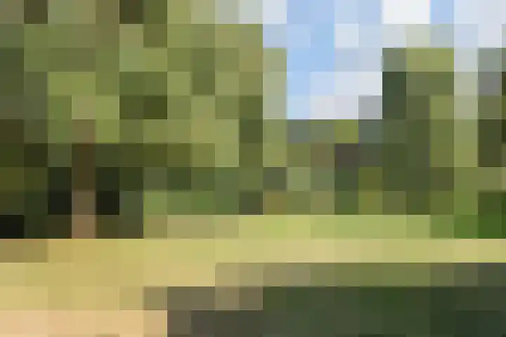 Dr H. Colijnlaan 15 Rijswijk thumbnail 26