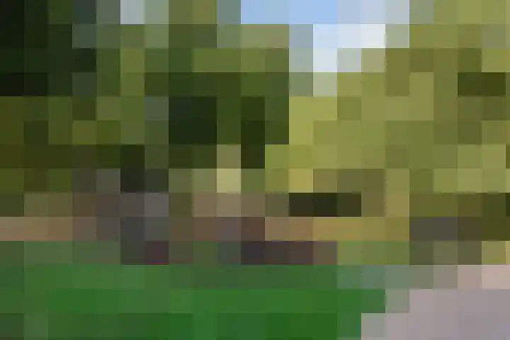 Dr H. Colijnlaan 15 Rijswijk thumbnail 27