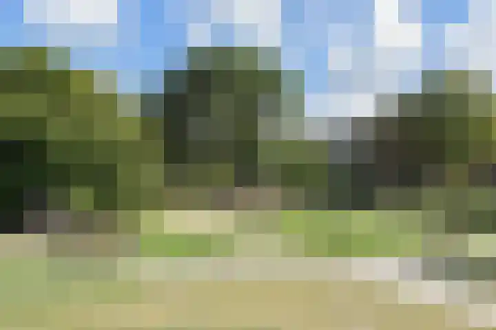 Dr H. Colijnlaan 15 Rijswijk thumbnail 28