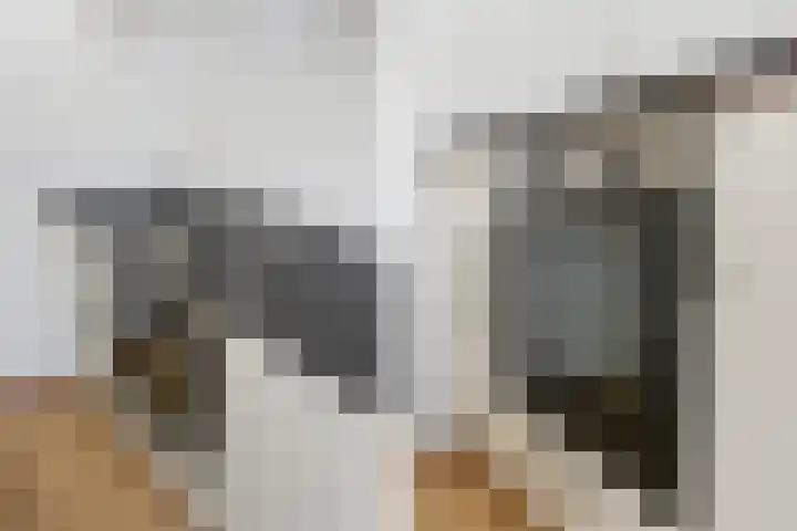 Dr H. Colijnlaan 15 Rijswijk thumbnail 32