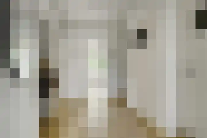 Dr H. Colijnlaan 156 Rijswijk thumbnail 10