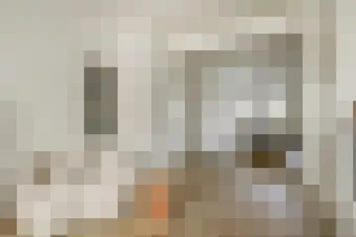 Dr H. Colijnlaan 156 Rijswijk thumbnail 13