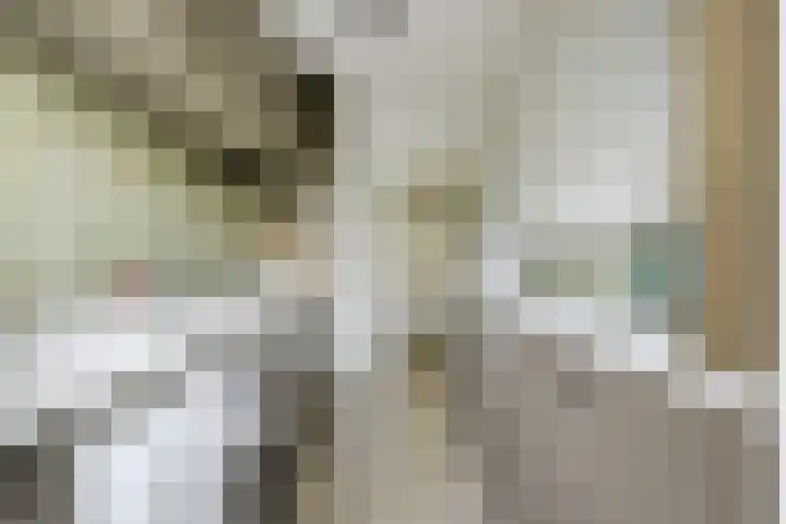 Dr H. Colijnlaan 156 Rijswijk thumbnail 16