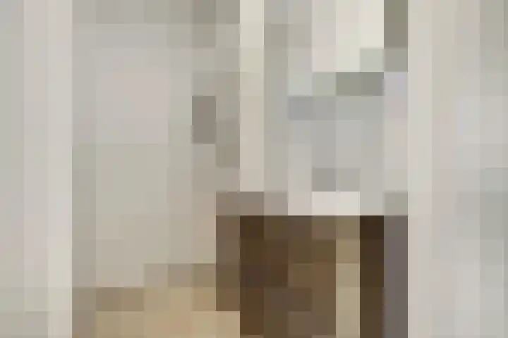 Dr H. Colijnlaan 156 Rijswijk thumbnail 19