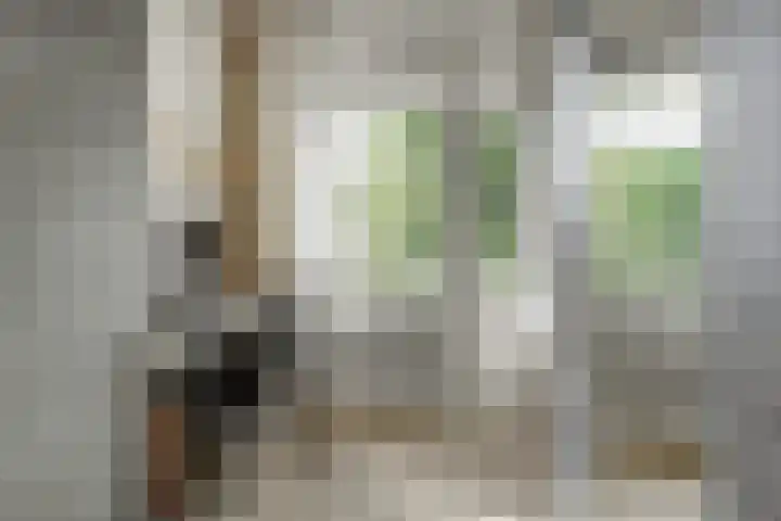 Dr H. Colijnlaan 156 Rijswijk thumbnail 24