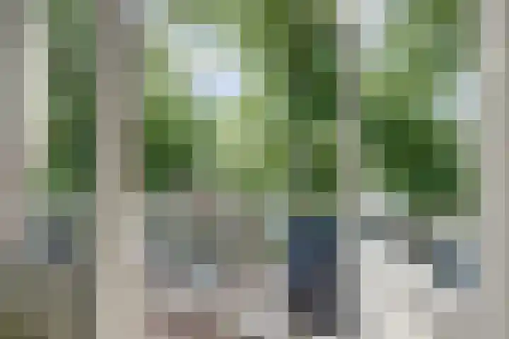 Dr H. Colijnlaan 156 Rijswijk thumbnail 27