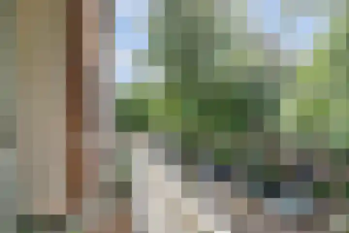 Dr H. Colijnlaan 156 Rijswijk thumbnail 29