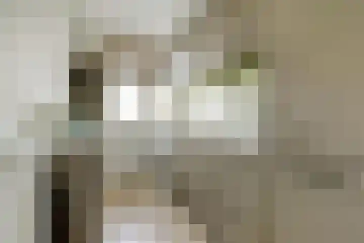 Dr H. Colijnlaan 156 Rijswijk thumbnail 4