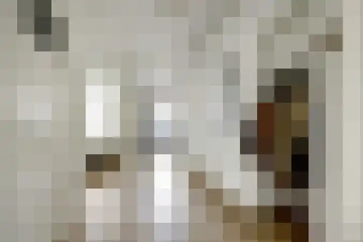 Dr H. Colijnlaan 156 Rijswijk thumbnail 9