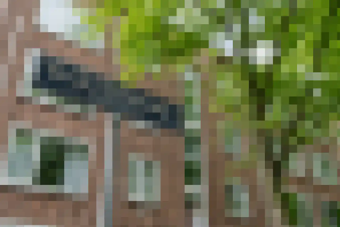 Dr H. Colijnlaan 159 Rijswijk thumbnail 11
