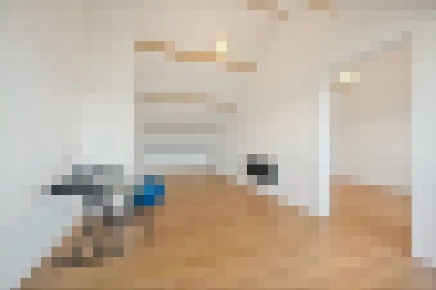 Dr H. Colijnlaan 160 Rijswijk thumbnail 33