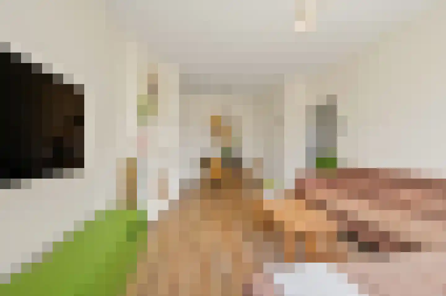 Dr H. Colijnlaan 160 Rijswijk thumbnail 8