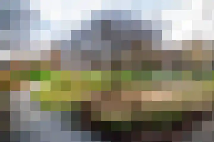 Dr H. Colijnlaan 162 Rijswijk thumbnail 40