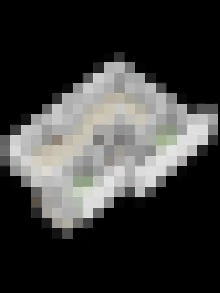 Dr H. Colijnlaan 162 Rijswijk thumbnail 43