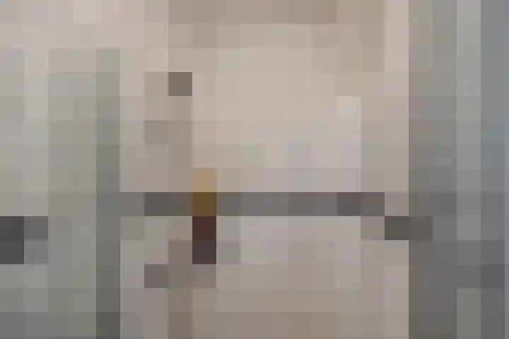 Dr H. Colijnlaan 17 Rijswijk thumbnail 18