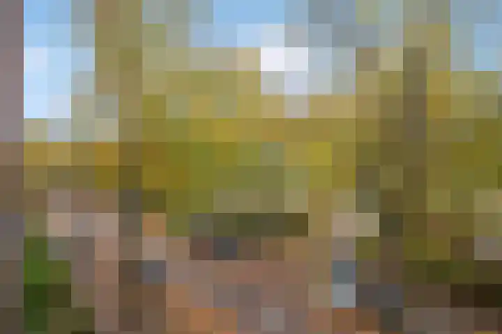 Dr H. Colijnlaan 17 Rijswijk thumbnail 19