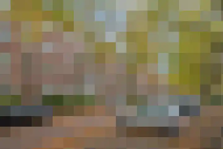 Dr H. Colijnlaan 17 Rijswijk thumbnail 20