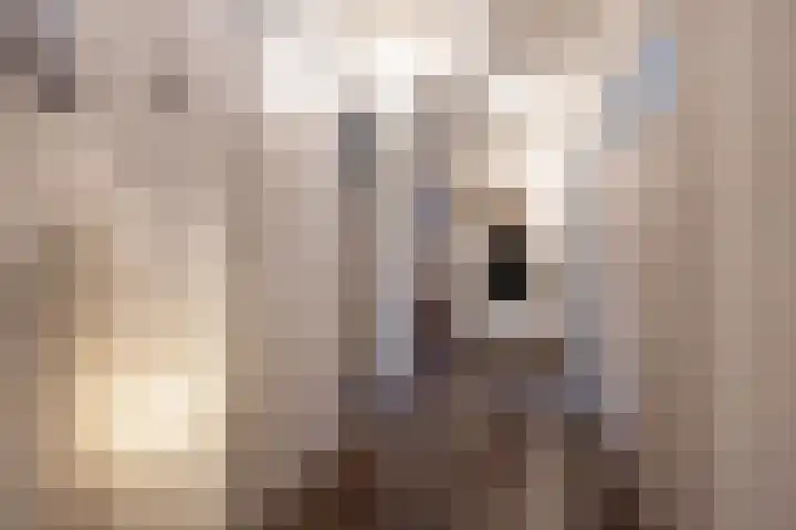 Dr H. Colijnlaan 17 Rijswijk thumbnail 5