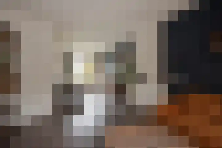 Dr H. Colijnlaan 17 Rijswijk thumbnail 9