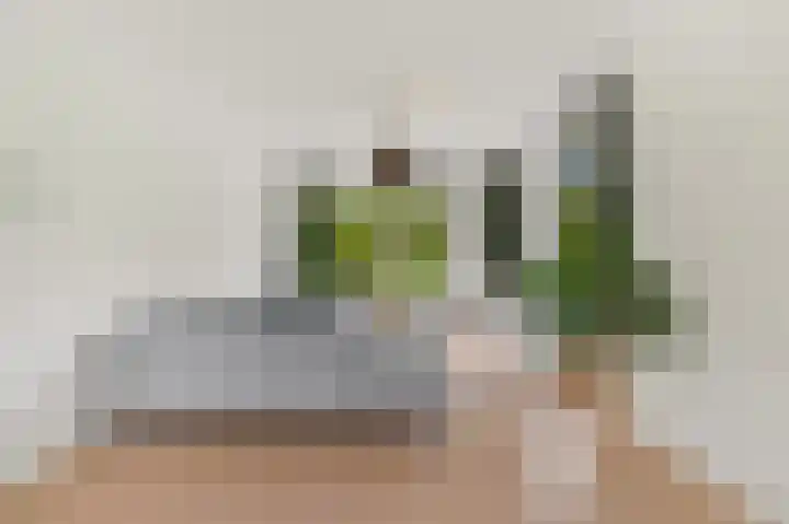 Dr H. Colijnlaan 203 Rijswijk thumbnail 10