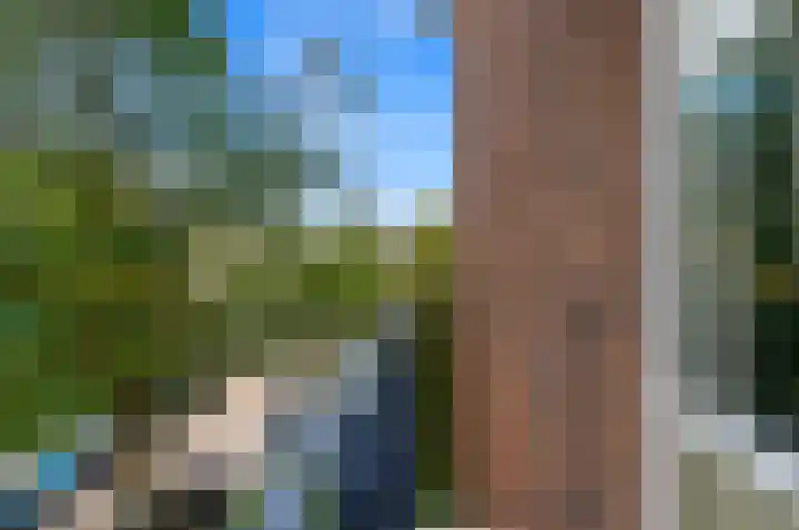 Dr H. Colijnlaan 203 Rijswijk thumbnail 12