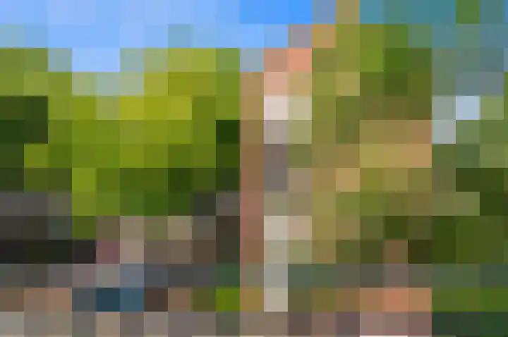 Dr H. Colijnlaan 203 Rijswijk thumbnail 13