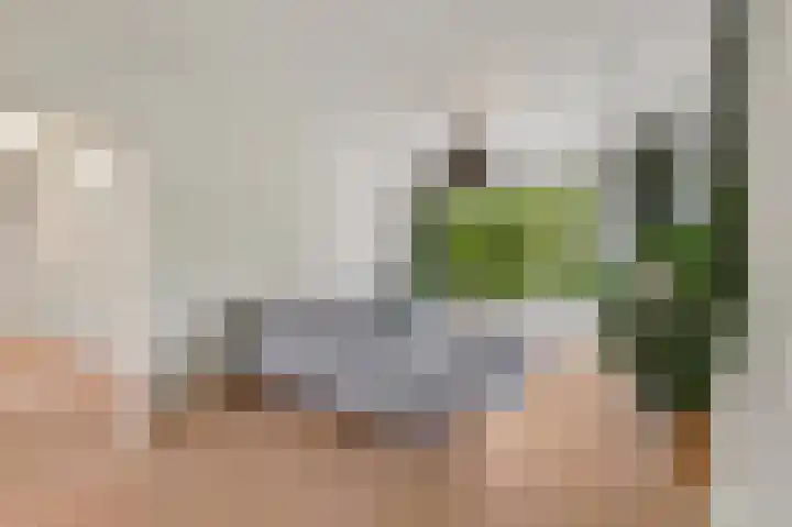 Dr H. Colijnlaan 203 Rijswijk thumbnail 4