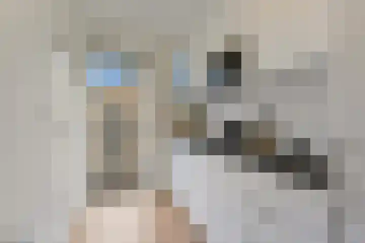 Dr H. Colijnlaan 203 Rijswijk thumbnail 5