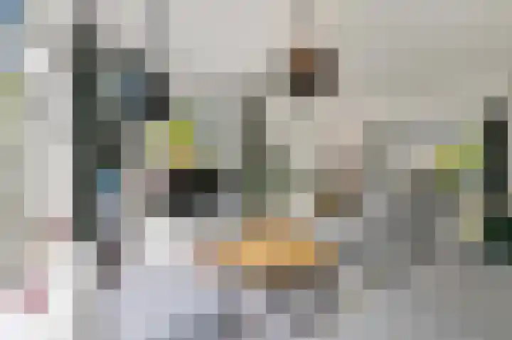 Dr H. Colijnlaan 203 Rijswijk thumbnail 9