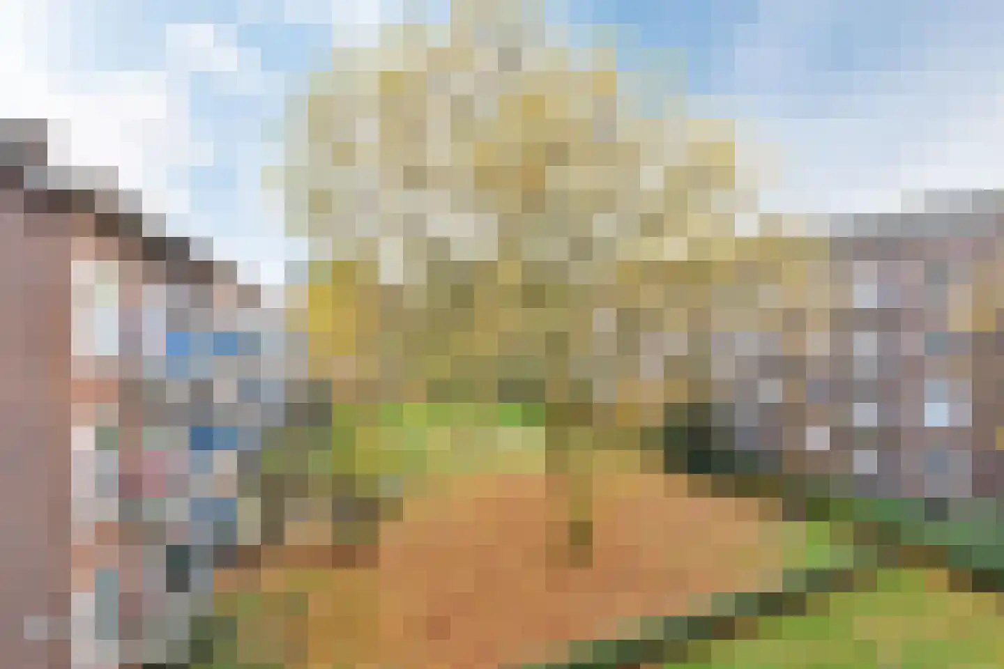 Dr H. Colijnlaan 209 Rijswijk thumbnail 6