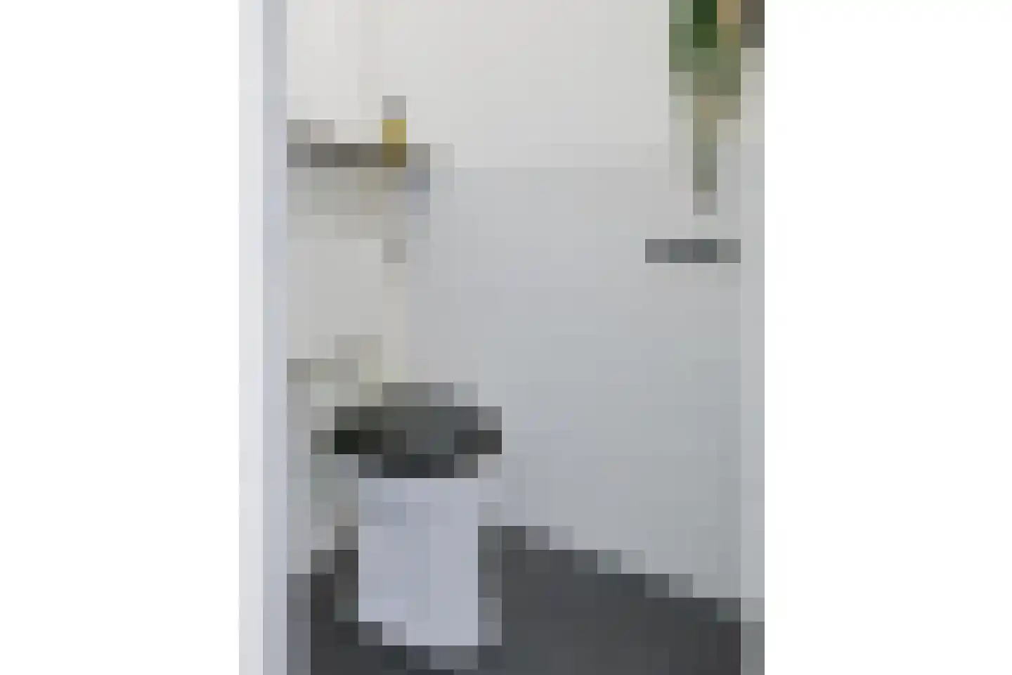 Dr H. Colijnlaan 233 Rijswijk thumbnail 25