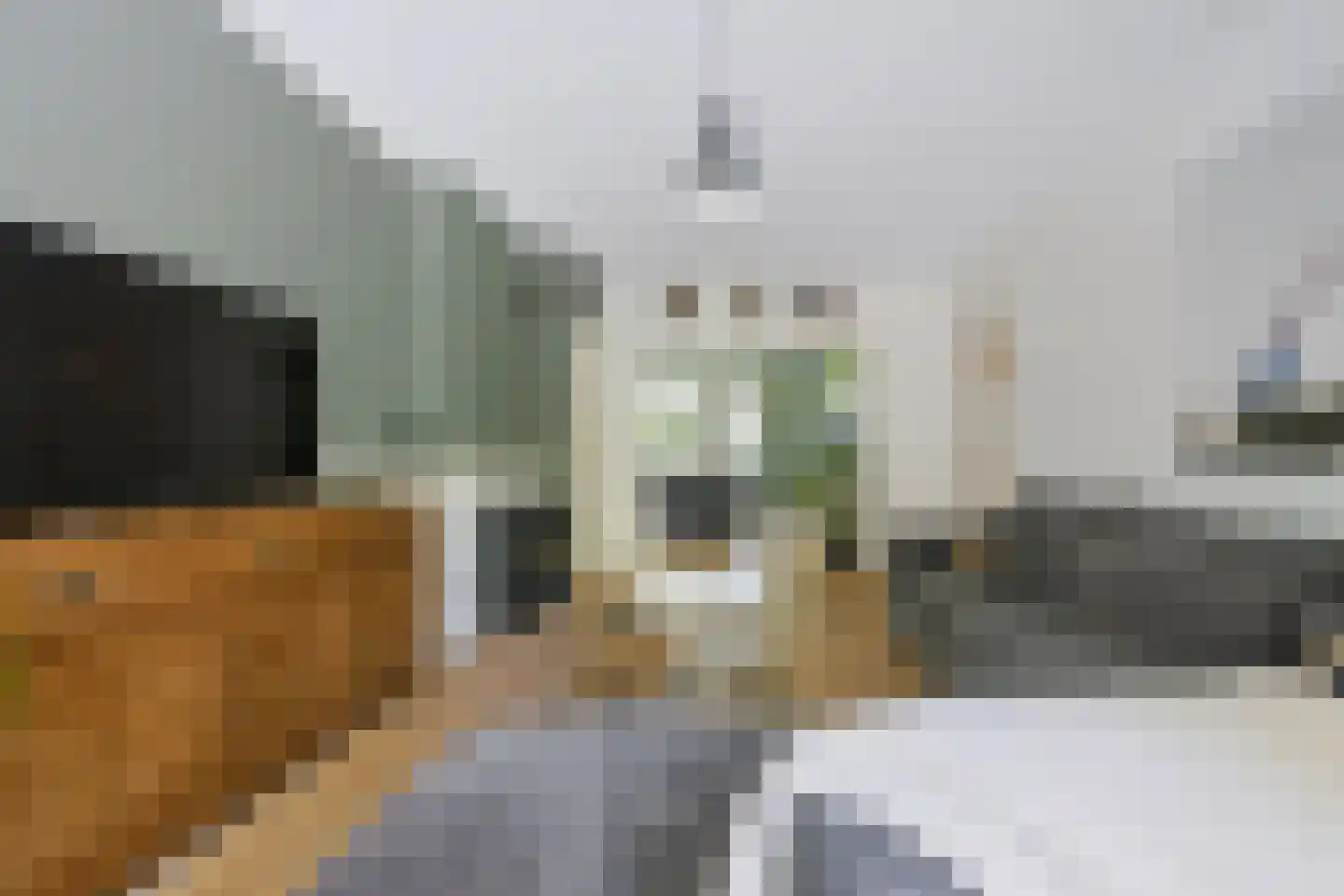 Dr H. Colijnlaan 233 Rijswijk thumbnail 5