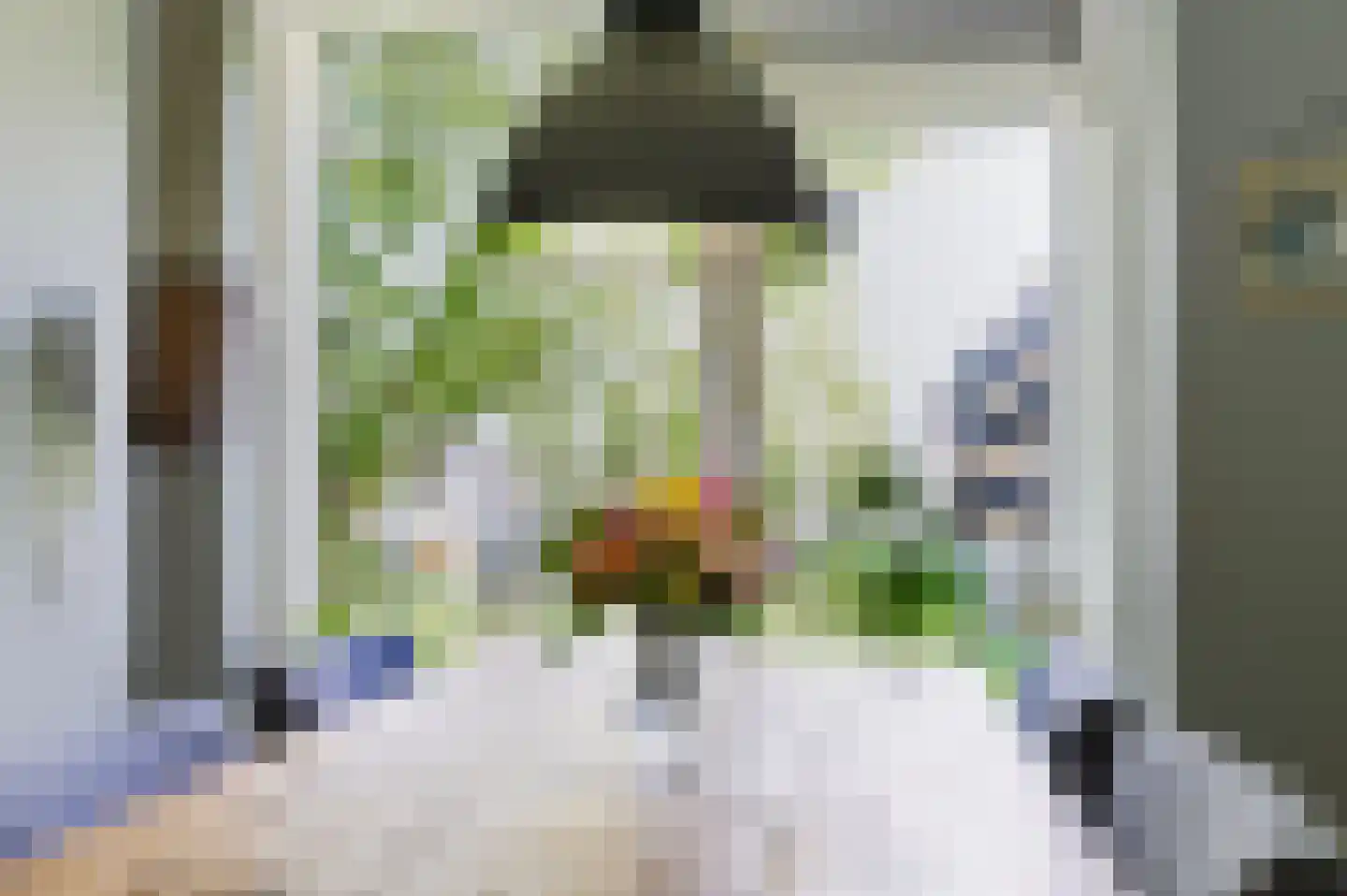Dr H. Colijnlaan 233 Rijswijk thumbnail 9