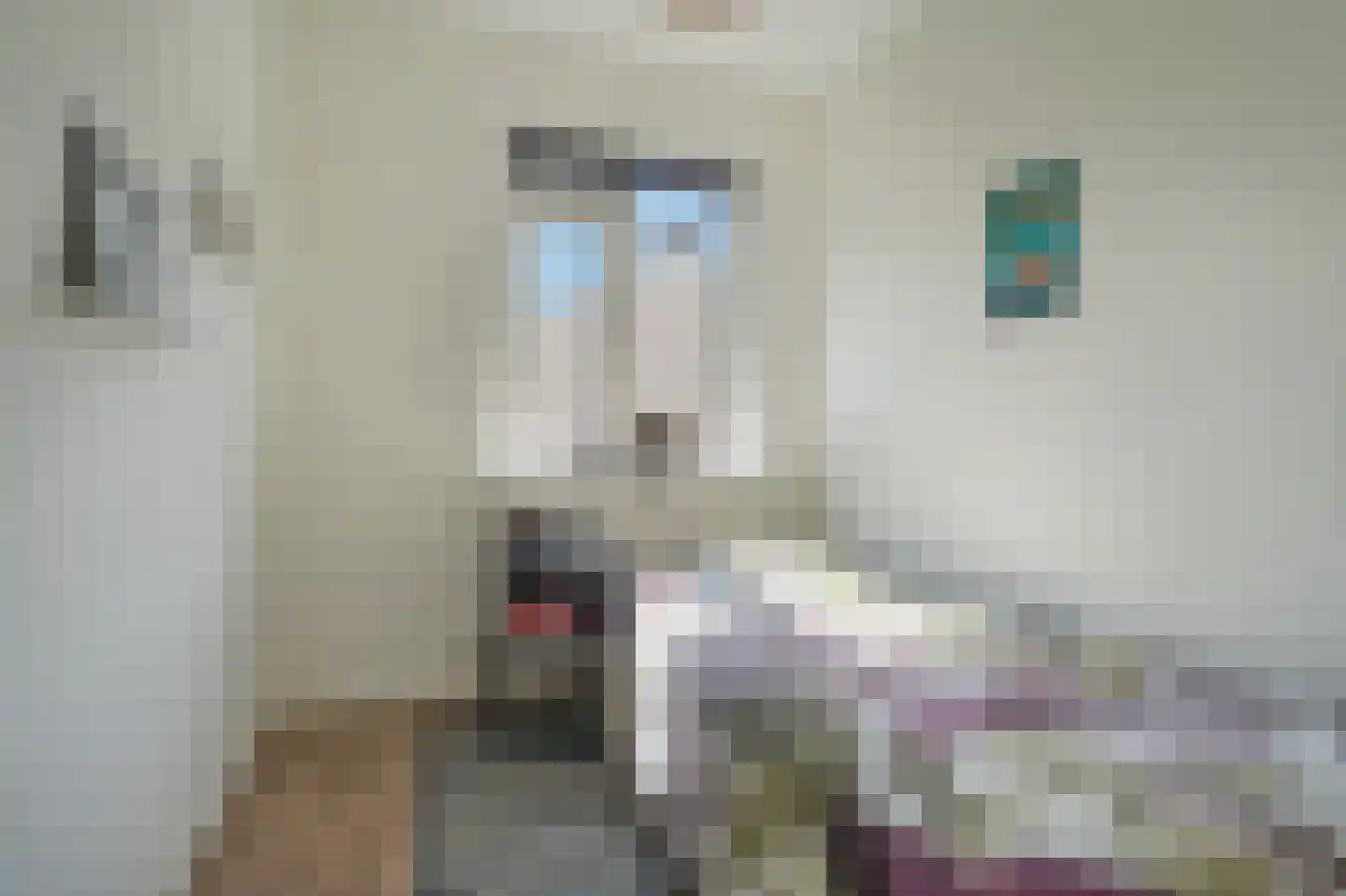 Dr H. Colijnlaan 237 Rijswijk thumbnail 14