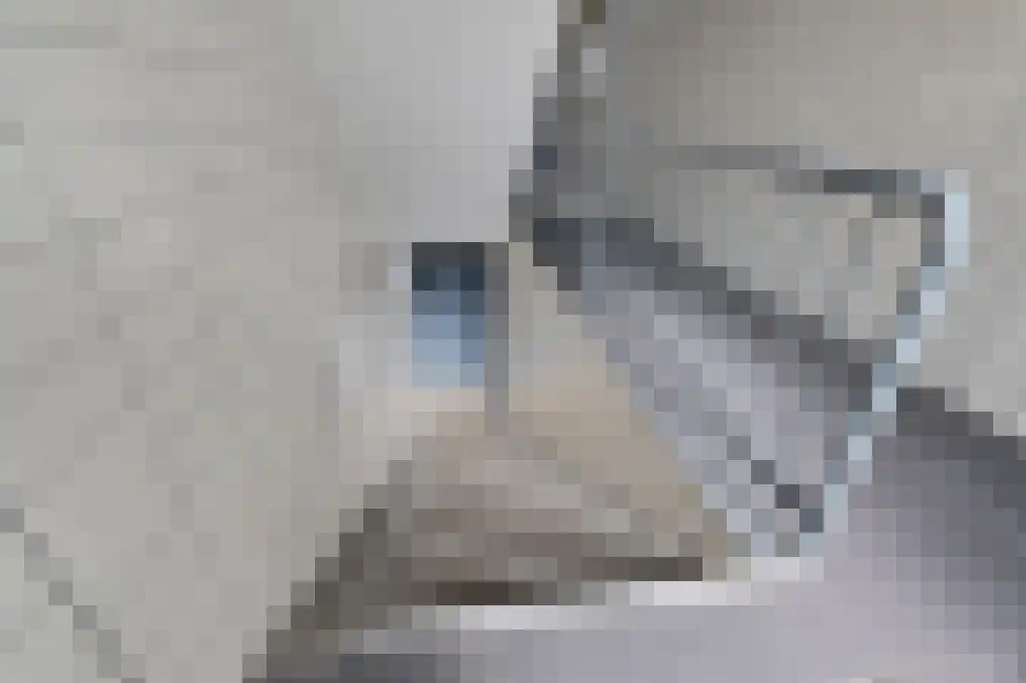 Dr H. Colijnlaan 263 Rijswijk thumbnail 27