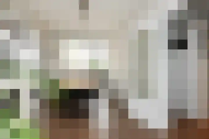 Dr H. Colijnlaan 281 Rijswijk thumbnail 8