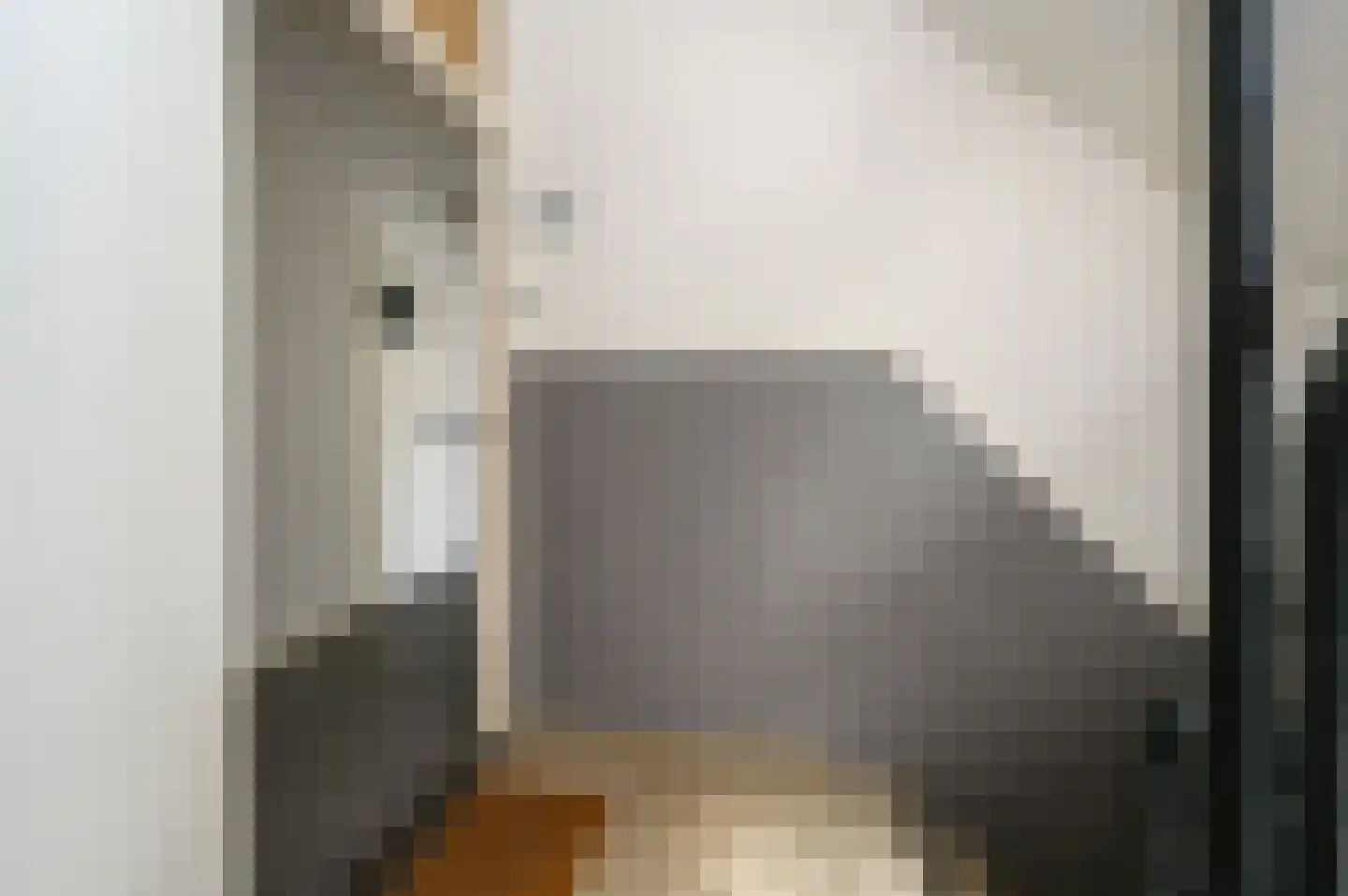 Dr H. Colijnlaan 293 Rijswijk thumbnail 5