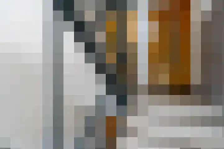 Dr H. Colijnlaan 295 Rijswijk thumbnail 11