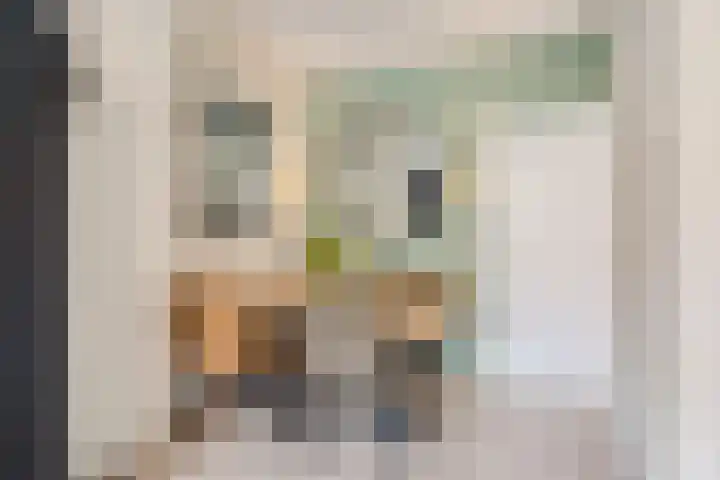 Dr H. Colijnlaan 295 Rijswijk thumbnail 20