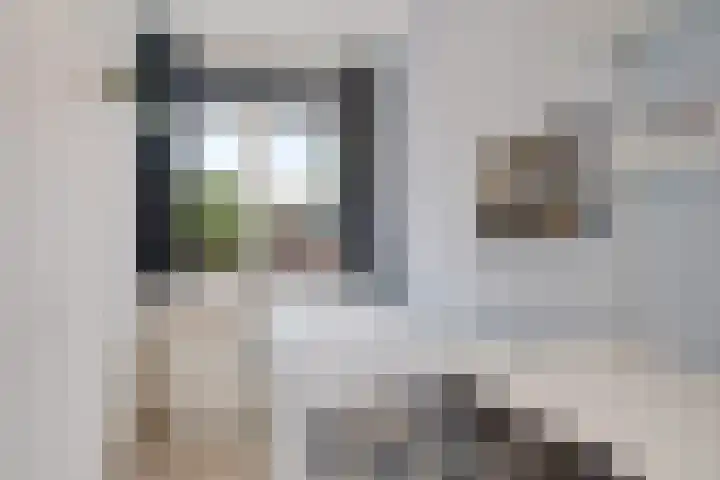 Dr H. Colijnlaan 295 Rijswijk thumbnail 38