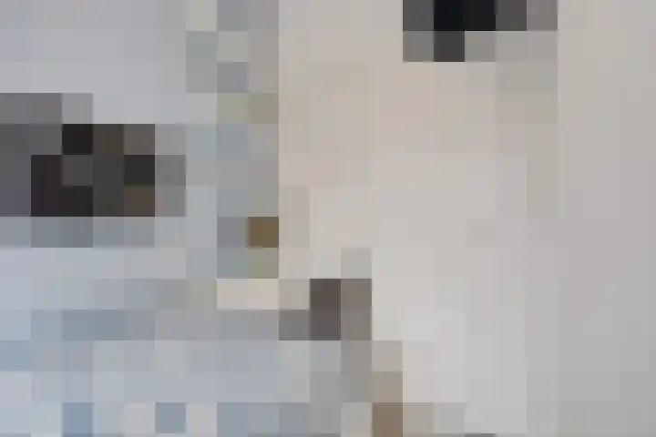 Dr H. Colijnlaan 295 Rijswijk thumbnail 40